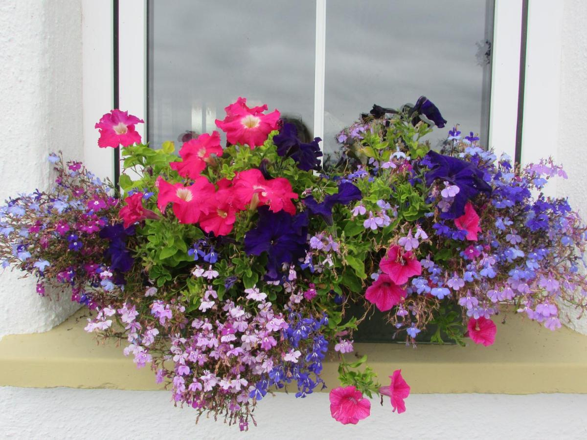 Breacan Cottage B&B Kinvara Extérieur photo