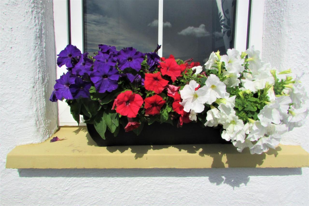 Breacan Cottage B&B Kinvara Extérieur photo