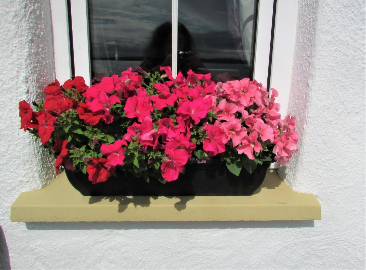 Breacan Cottage B&B Kinvara Extérieur photo